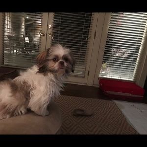 Meet your Posher, Rick